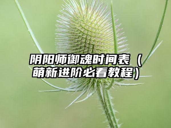 阴阳师御魂时间表（萌新进阶必看教程）