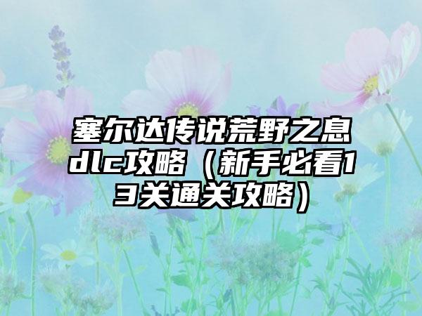 塞尔达传说荒野之息dlc攻略（新手必看13关通关攻略）