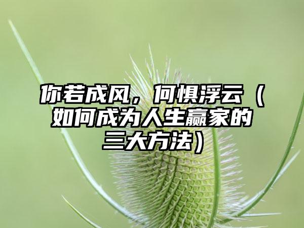 你若成风，何惧浮云（如何成为人生赢家的三大方法）