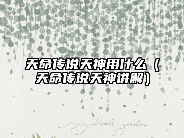 天命传说天神用什么（天命传说天神讲解）