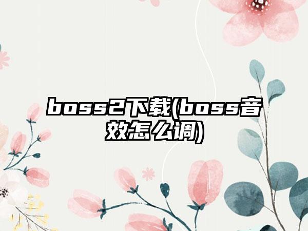 boss2(boss音效怎么调)