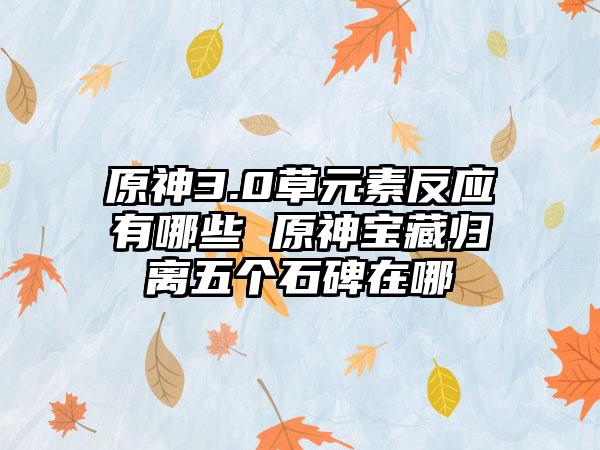 原神3.0草元素反应有哪些 原神宝藏归离五个石碑在哪