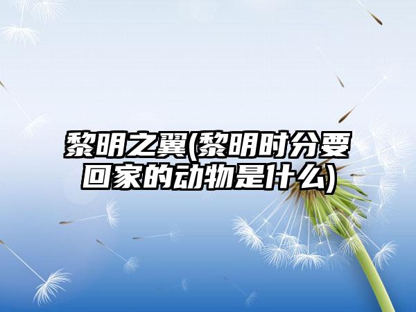 黎明之翼(黎明时分要回家的动物是什么)