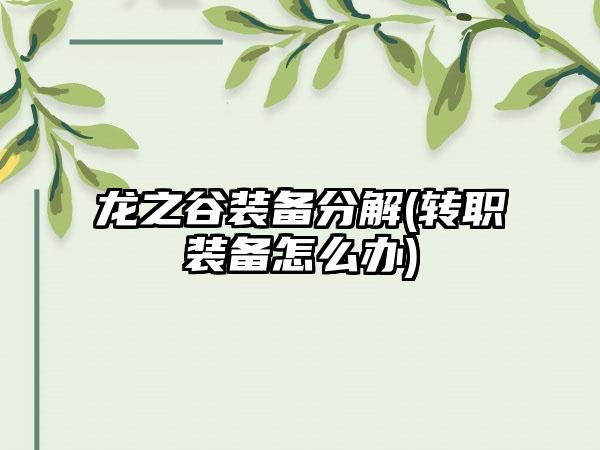 龙之谷装备分解(转职装备怎么办)