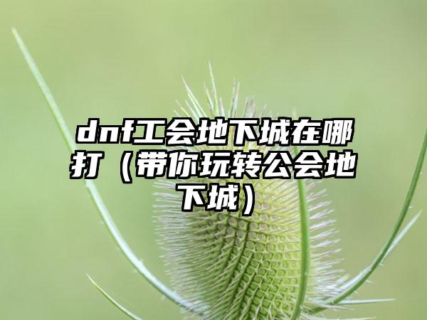dnf工会地下城在哪打（带你玩转公会地下城）