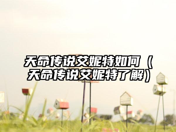 天命传说艾妮特如何（天命传说艾妮特了解）