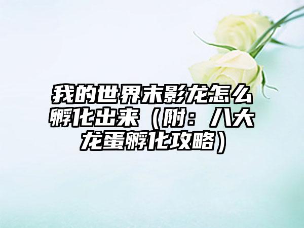 我的世界末影龙怎么孵化出来（附：八大龙蛋孵化攻略）
