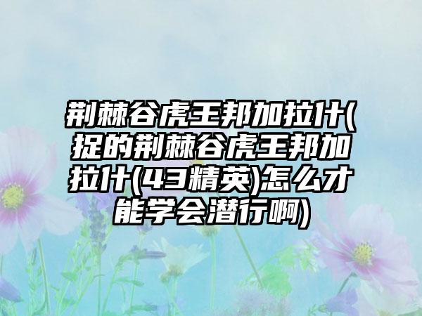 荆棘谷虎王邦加拉什(捉的荆棘谷虎王邦加拉什(43精英)怎么才能学会潜行啊)