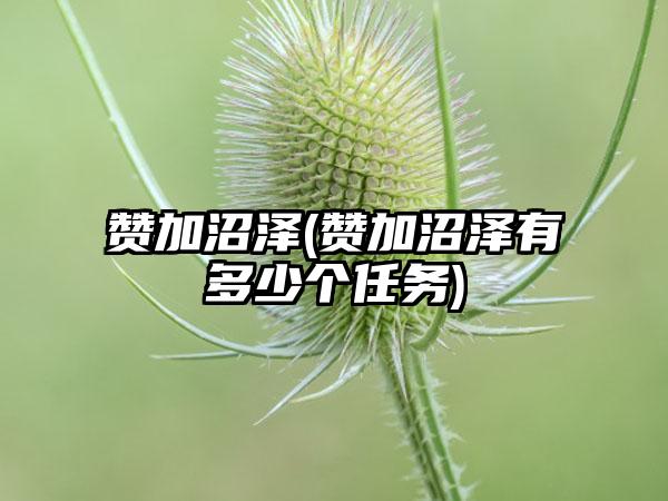 赞加沼泽(赞加沼泽有多少个任务)