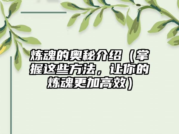 炼魂的奥秘介绍（掌握这些方法，让你的炼魂更加高效）