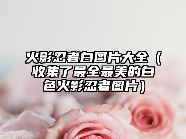 火影忍者白图片大全（收集了最全最美的白色火影忍者图片）