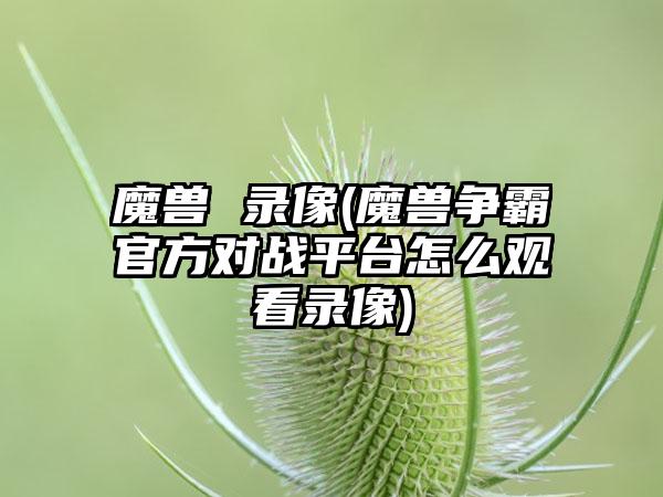 魔兽 录像(魔兽争霸官方对战平台怎么观看录像)