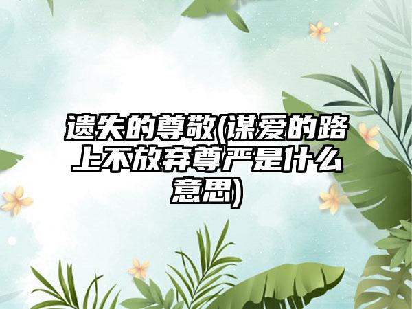 遗失的尊敬(谋爱的路上不放弃尊严是什么意思)