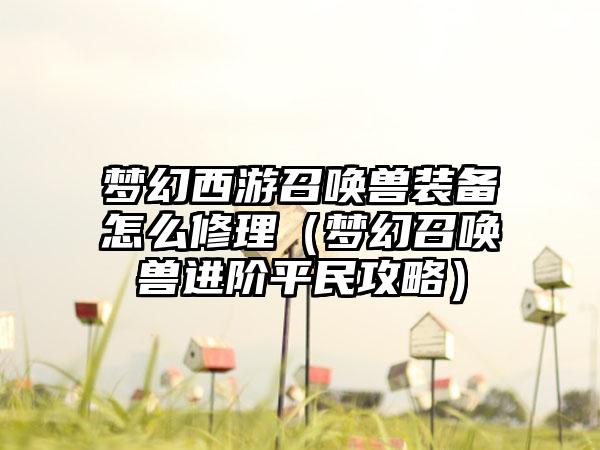 梦幻西游召唤兽装备怎么修理（梦幻召唤兽进阶平民攻略）