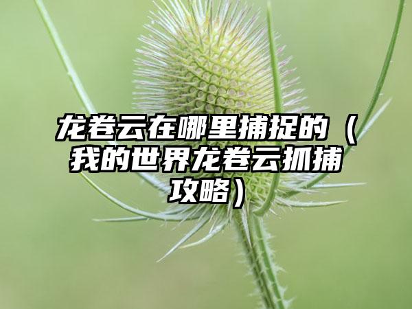 龙卷云在哪里捕捉的（我的世界龙卷云抓捕攻略）