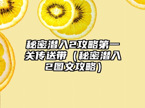 秘密潜入2攻略第一关传送带（秘密潜入2图文攻略）