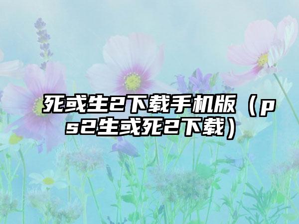 死或生2手机版（ps2生或死2）
