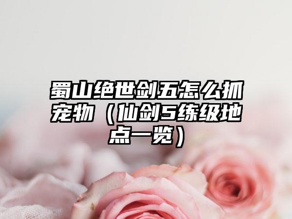 蜀山绝世剑五怎么抓宠物（仙剑5练级地点一览）