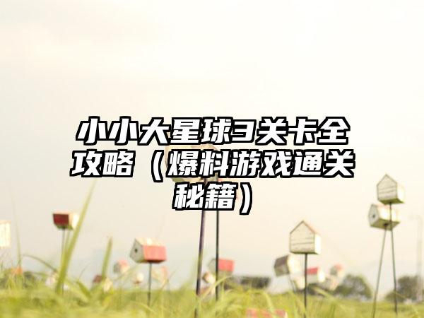 小小大星球3关卡全攻略（爆料游戏通关秘籍）