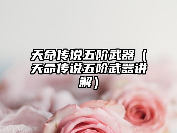 天命传说五阶武器（天命传说五阶武器讲解）
