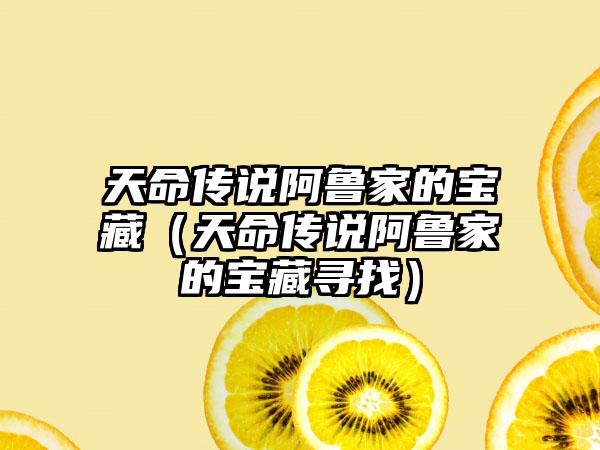 天命传说阿鲁家的宝藏（天命传说阿鲁家的宝藏寻找）