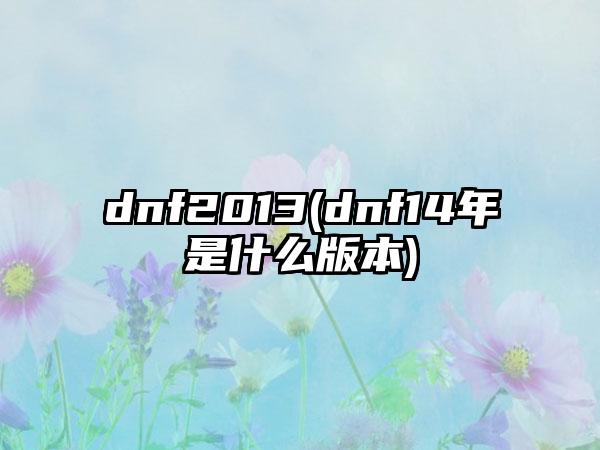 dnf2013(dnf14年是什么版本)