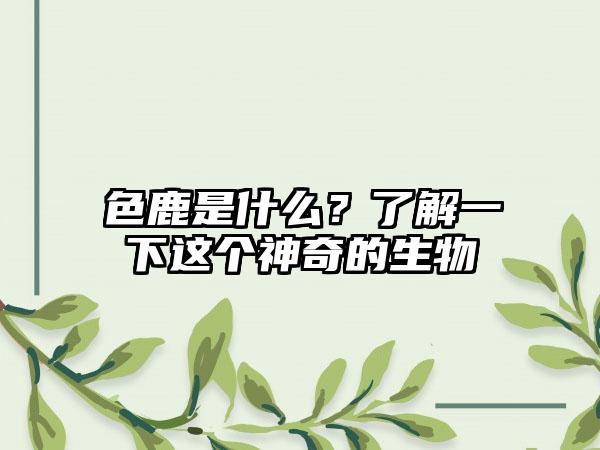 色鹿是什么？了解一下这个神奇的生物