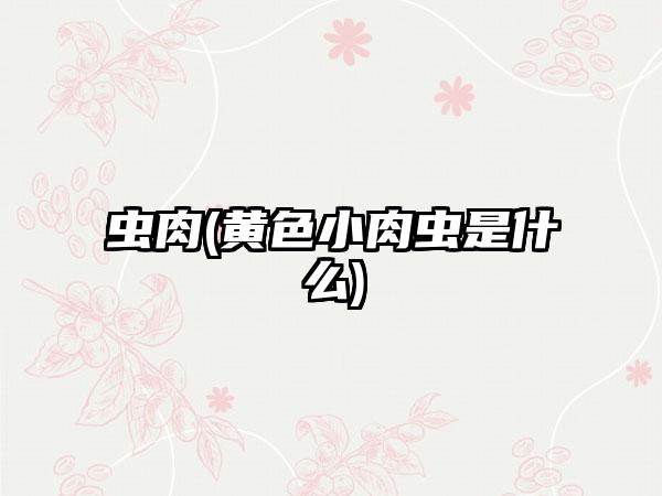 虫肉(黄色小肉虫是什么)