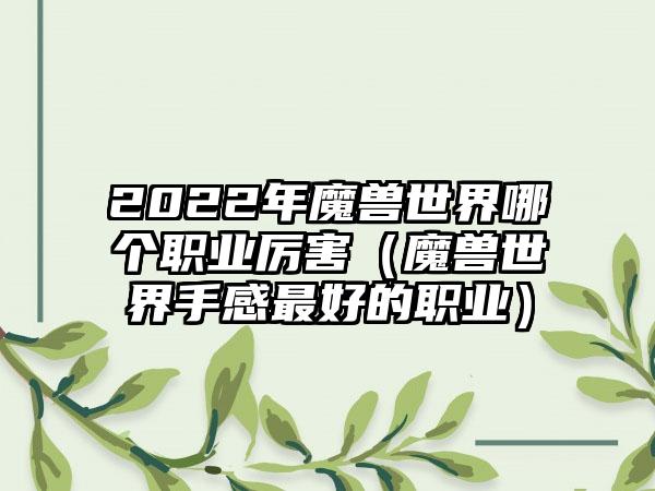 2022年魔兽世界哪个职业厉害（魔兽世界手感最好的职业）