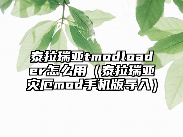 泰拉瑞亚tmodloader怎么用（泰拉瑞亚灾厄mod手机版导入）