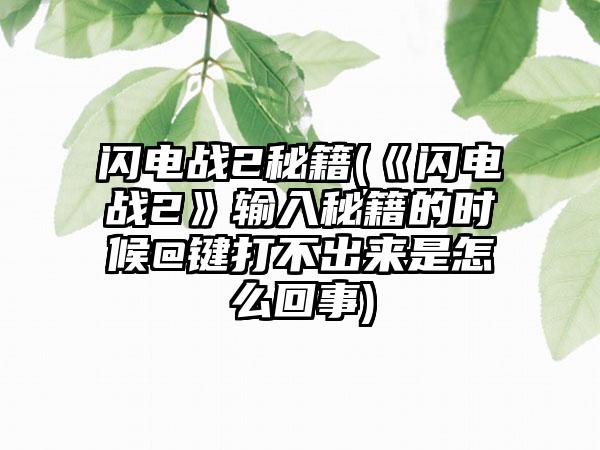 闪电战2秘籍(《闪电战2》输入秘籍的时候@键打不出来是怎么回事)