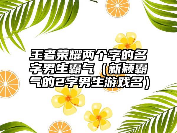 王者荣耀两个字的名字男生霸气（新颖霸气的2字男生游戏名）