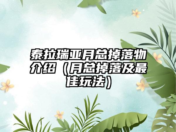 泰拉瑞亚月总掉落物介绍（月总掉落及最佳玩法）