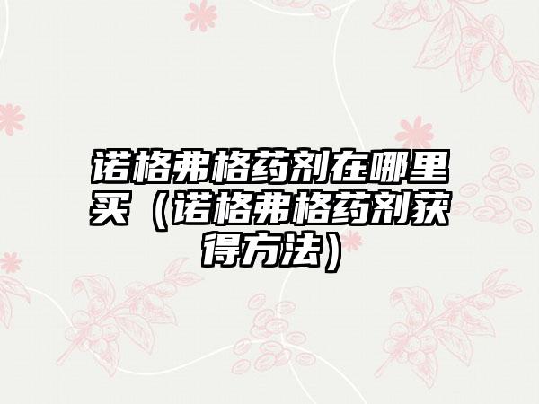 诺格弗格药剂在哪里买（诺格弗格药剂获得方法）