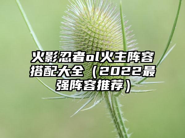 火影忍者ol火主阵容搭配大全（2022最强阵容推荐）
