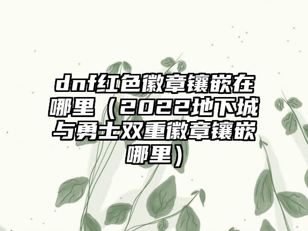 dnf红色徽章镶嵌在哪里（2022地下城与勇士双重徽章镶嵌哪里）