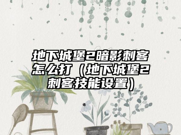 地下城堡2暗影刺客怎么打（地下城堡2刺客技能设置）