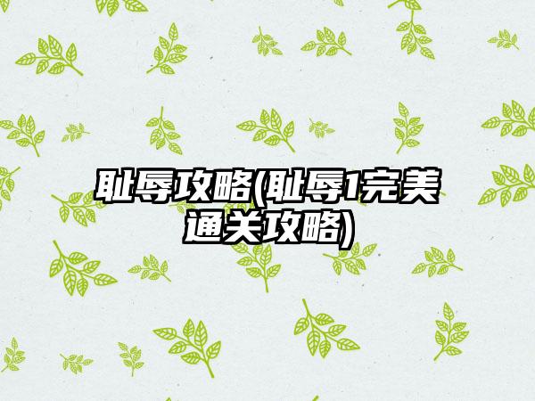 耻辱攻略(耻辱1完美通关攻略)