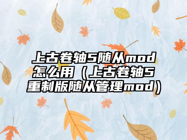 上古卷轴5随从mod怎么用（上古卷轴5重制版随从管理mod）