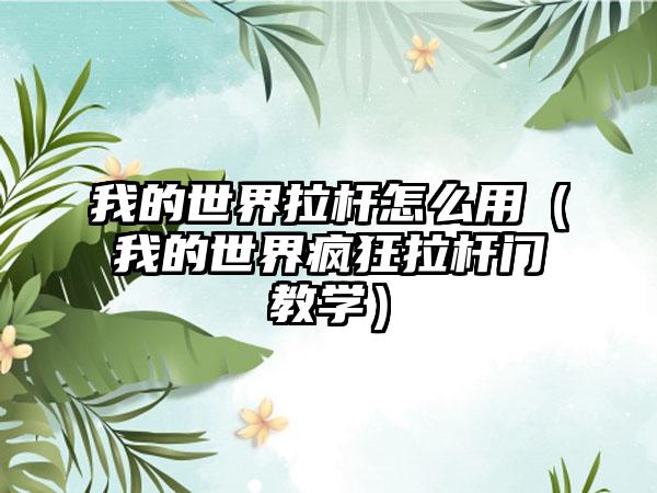 我的世界拉杆怎么用（我的世界疯狂拉杆门教学）