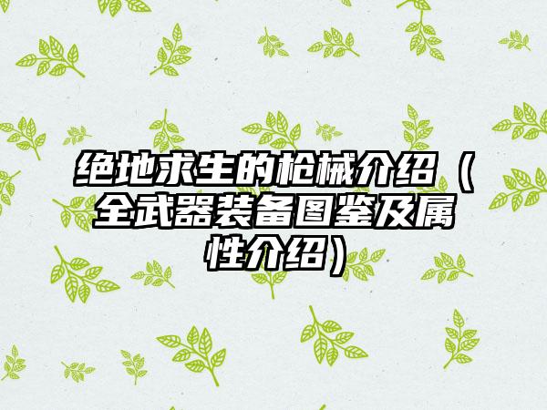 绝地求生的枪械介绍（全武器装备图鉴及属性介绍）