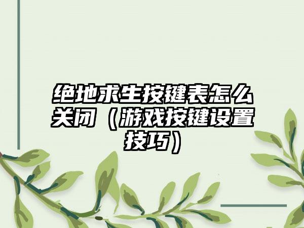 绝地求生按键表怎么关闭（游戏按键设置技巧）