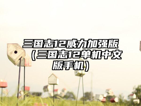 三国志12威力加强版（三国志12单机中文版手机）