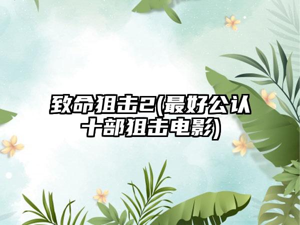 致命狙击2(最好公认十部狙击电影)