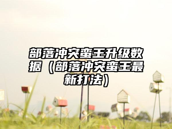 部落冲突蛮王升级数据（部落冲突蛮王最新打法）