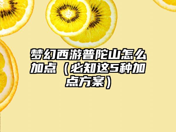 梦幻西游普陀山怎么加点（必知这5种加点方案）