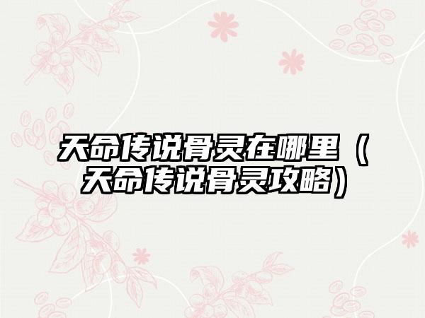 天命传说骨灵在哪里（天命传说骨灵攻略）