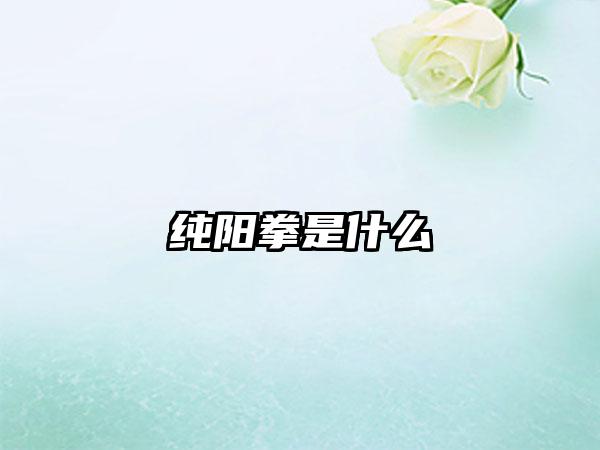 纯阳拳是什么