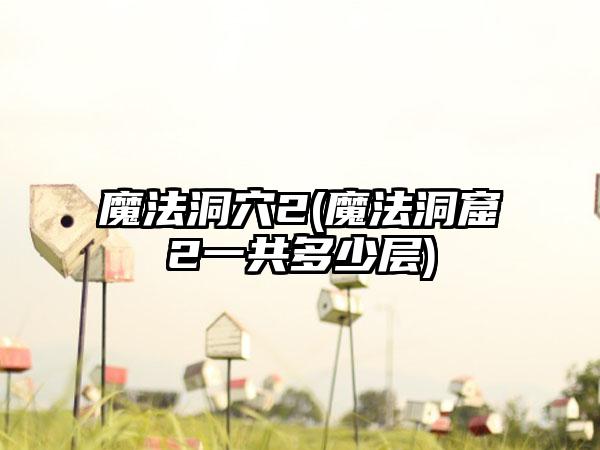 魔法洞穴2(魔法洞窟2一共多少层)