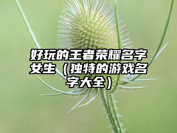 好玩的王者荣耀名字女生（独特的游戏名字大全）